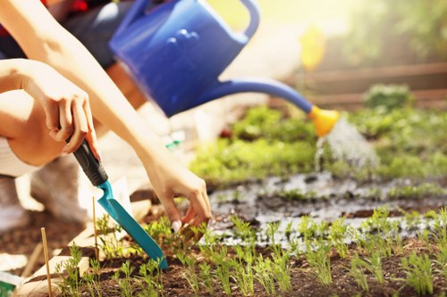 Gardener tending a suburban Surbiton border