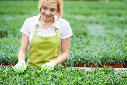 A community gardener using a keyboard outdoors to access gardening resources on a tablet.